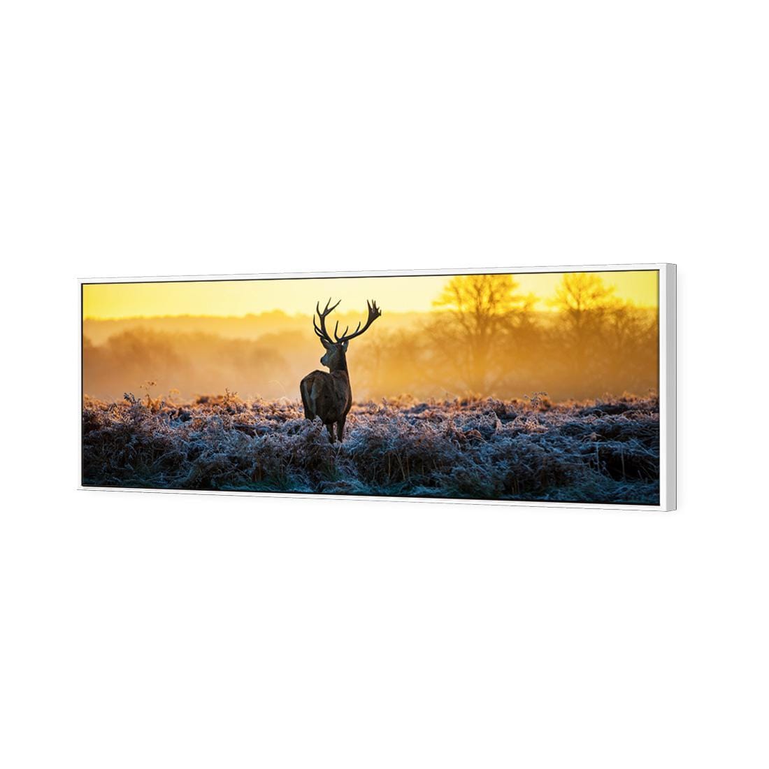 Red Deer at Dawn (Long) - wallart-australia - Canvas