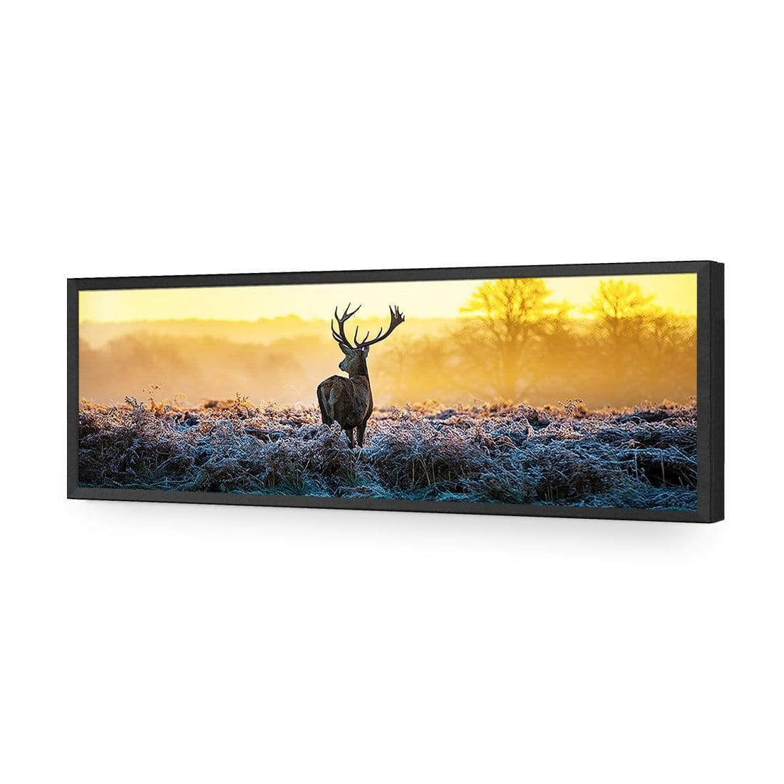 Red Deer at Dawn (Long) - wallart-australia - Acrylic Glass No Border