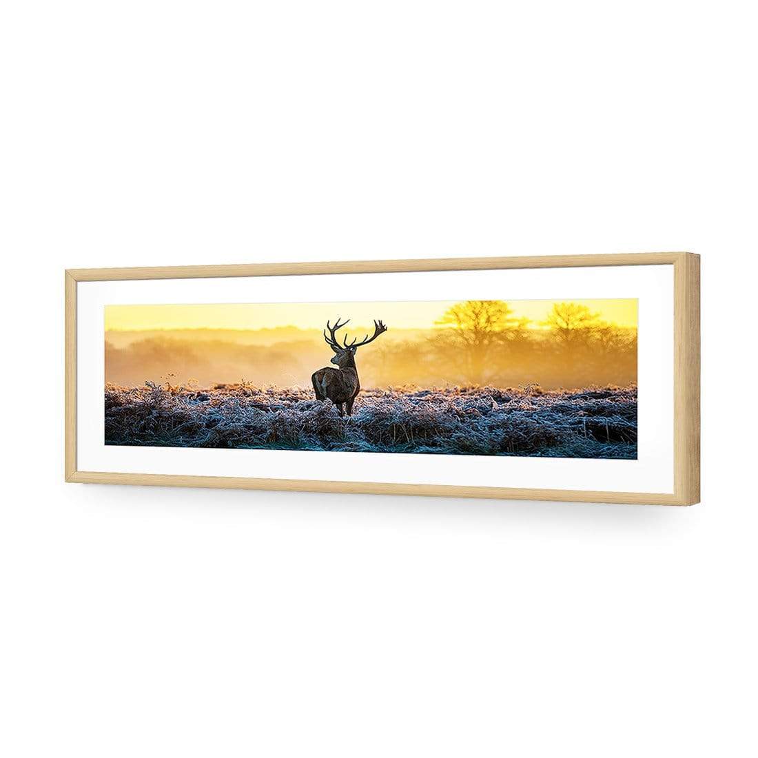 Red Deer at Dawn (Long) - wallart-australia - Acrylic Glass With Border