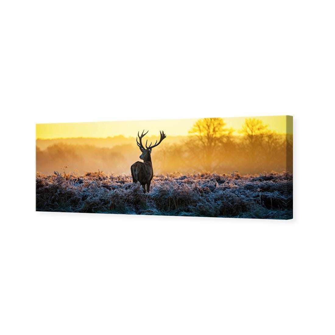 Red Deer at Dawn (Long) - wallart-australia - Canvas