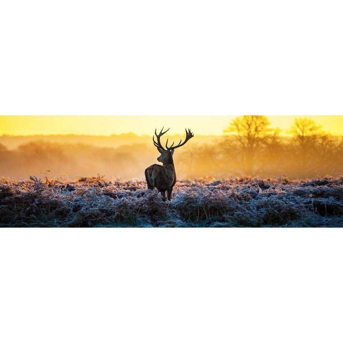 Red Deer at Dawn (Long) - wallart-australia - Canvas