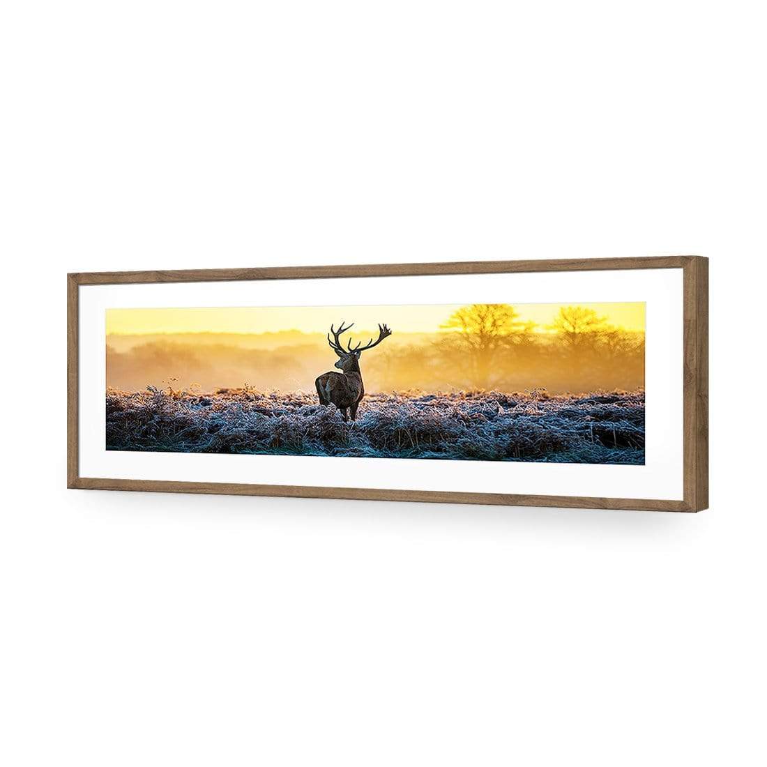 Red Deer at Dawn (Long) - wallart-australia - Acrylic Glass With Border