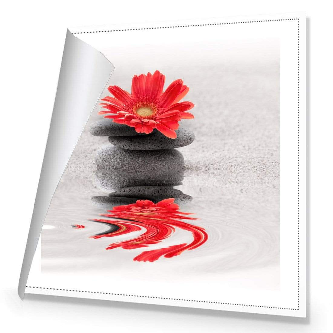 Red Flower Reflection (square) - wallart-australia - Canvas