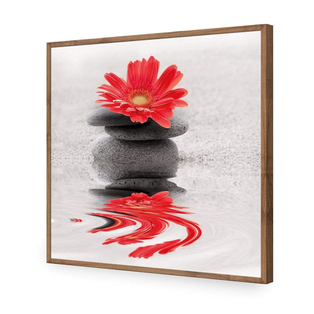 Red Flower Reflection (square) - wallart-australia - Acrylic Glass No Border