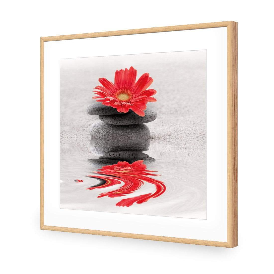 Red Flower Reflection (square) - wallart-australia - Acrylic Glass With Border