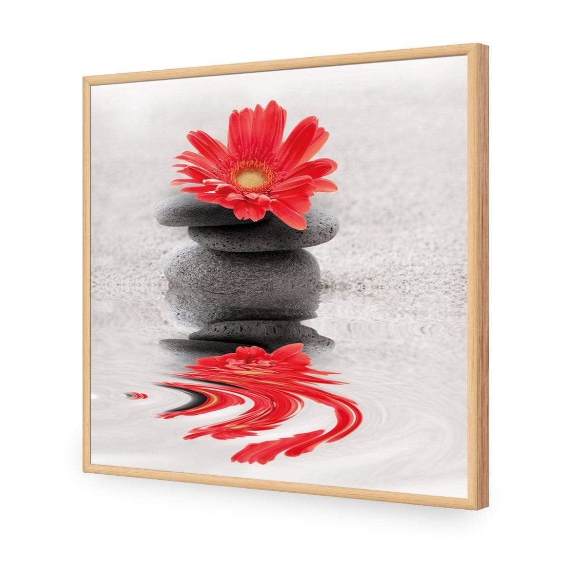 Red Flower Reflection (square) - wallart-australia - Acrylic Glass No Border