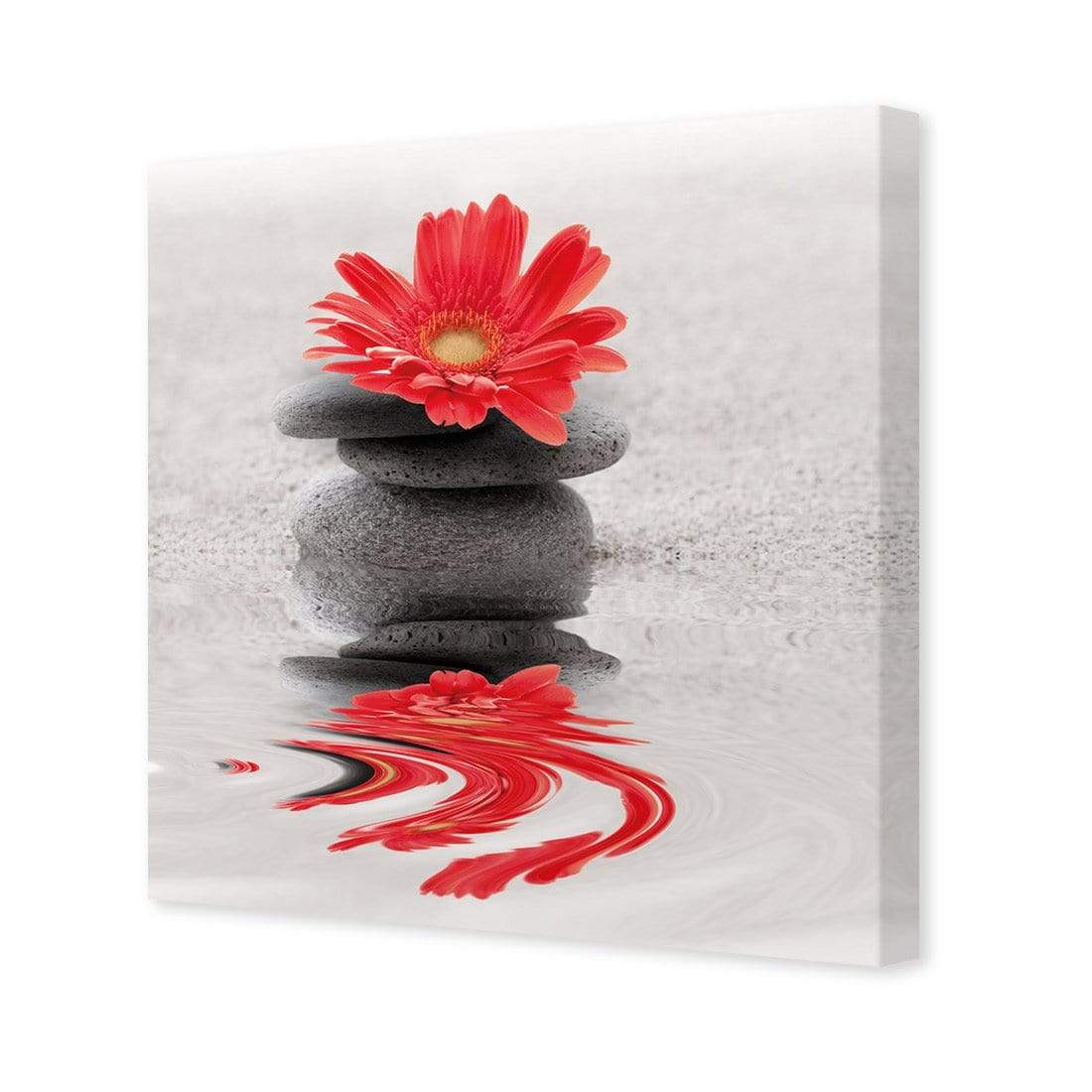 Red Flower Reflection (square) - wallart-australia - Canvas