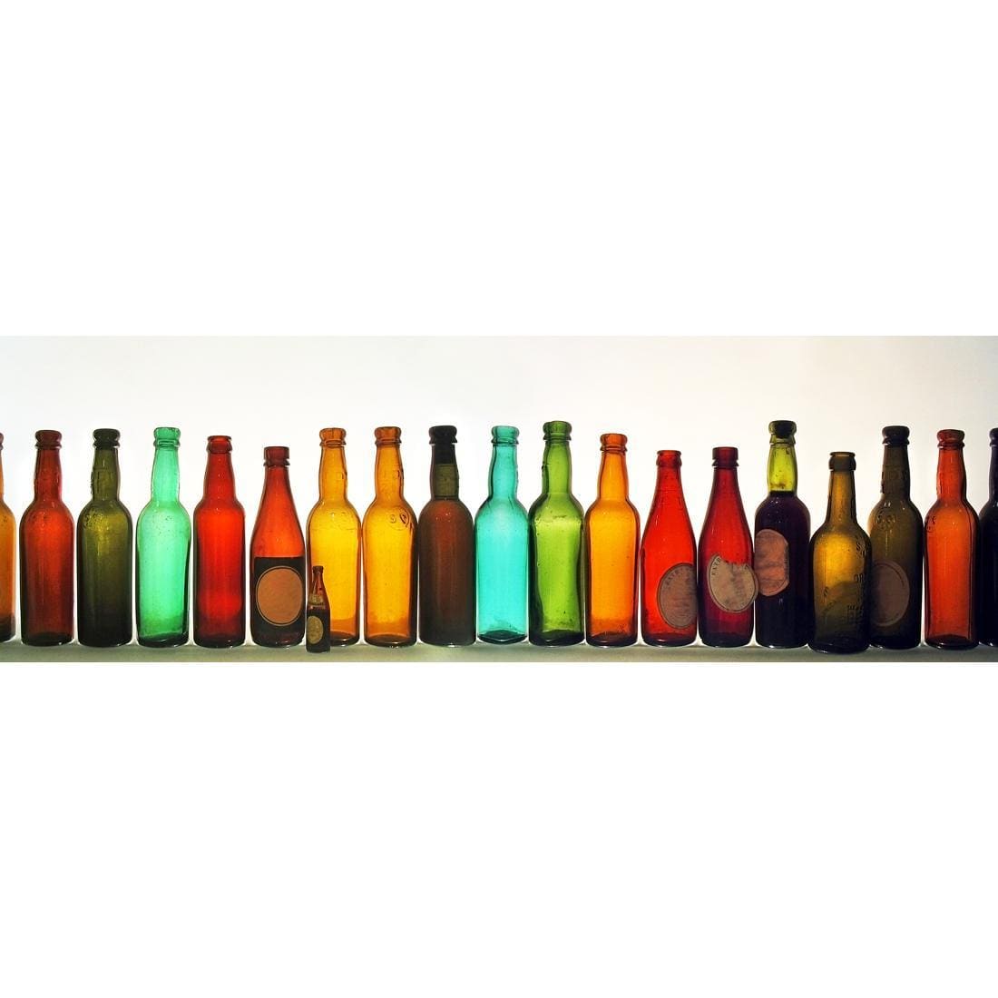 Row of Bottles, (Long) - wallart-australia - Canvas
