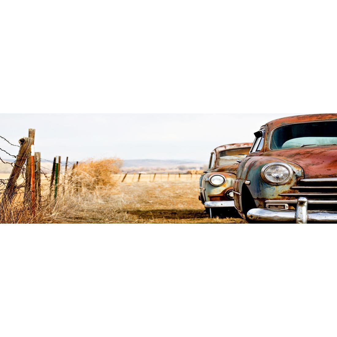 Rusty Cars, Original (Long) - wallart-australia - Canvas