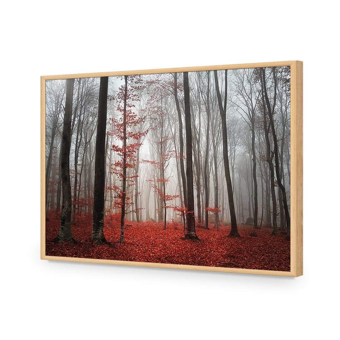 Scarlet Forest - wallart-australia - Acrylic Glass No Border