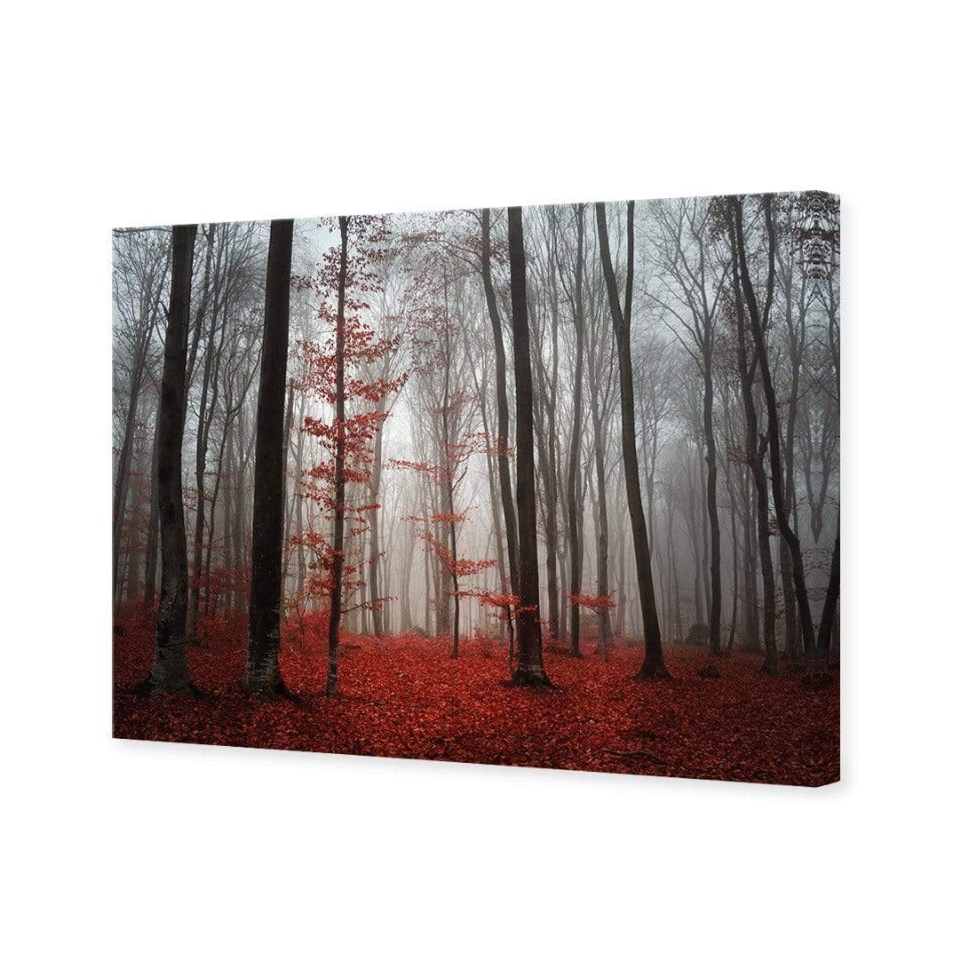 Scarlet Forest - wallart-australia - Canvas