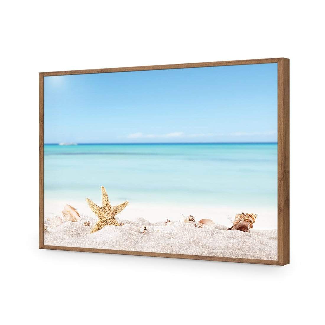 Starfish and Friends - wallart-australia - Acrylic Glass No Border