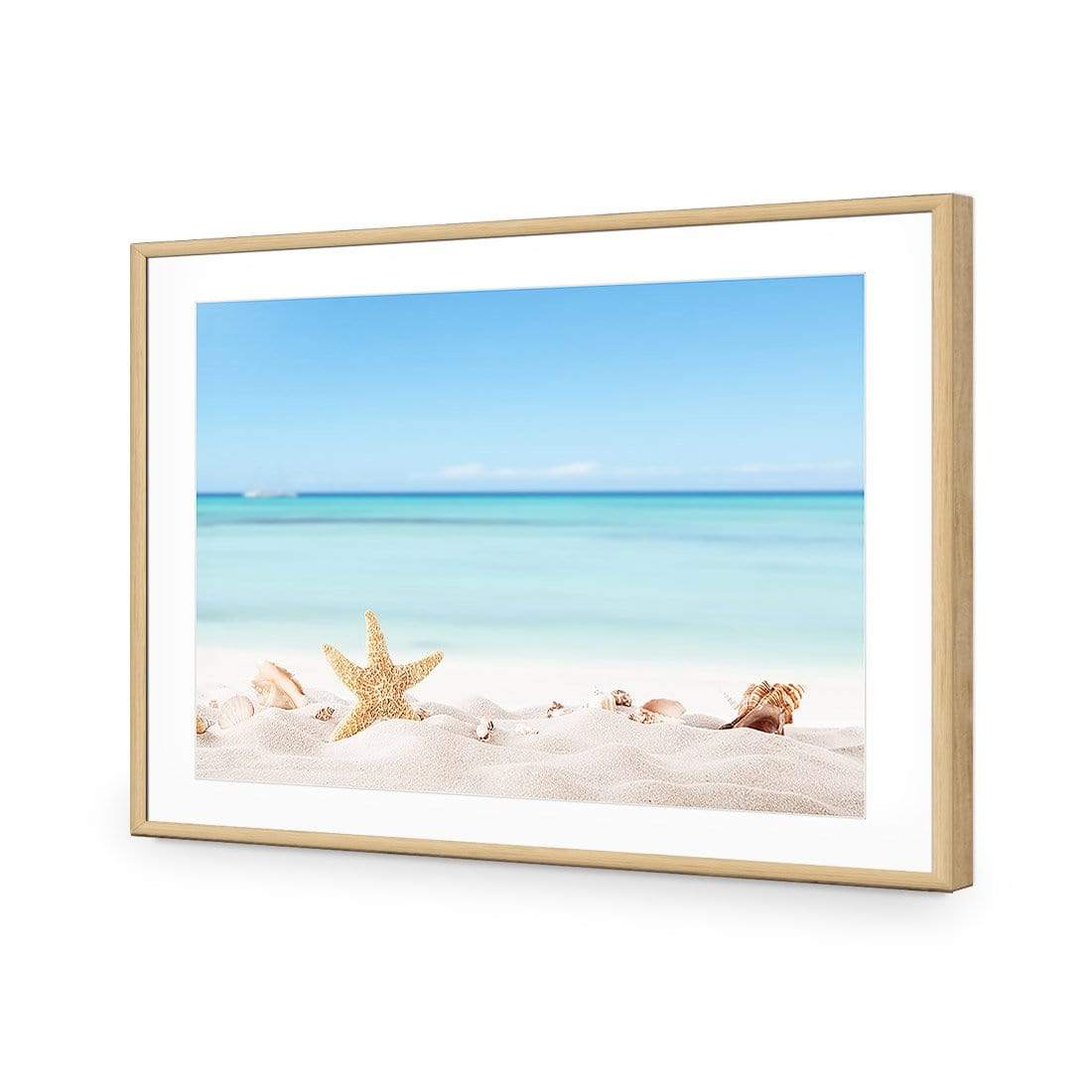 Starfish and Friends - wallart-australia - Acrylic Glass With Border