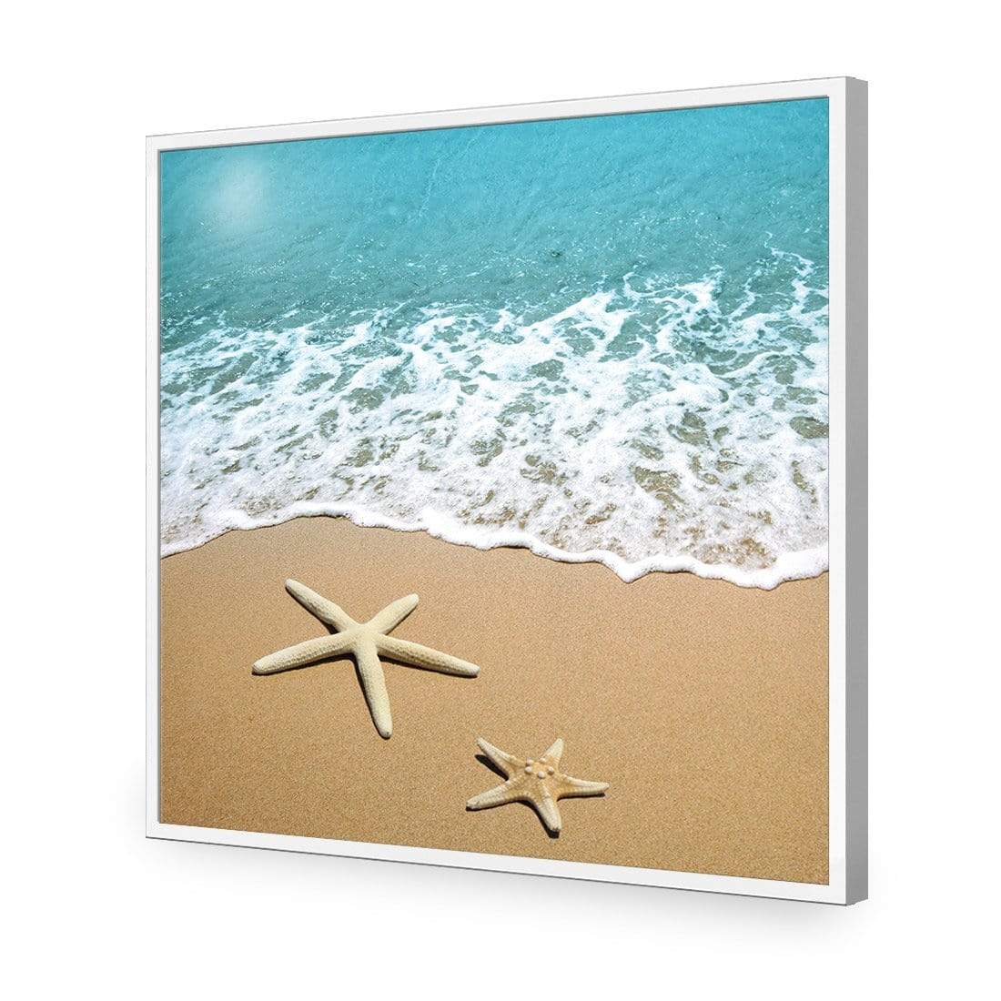 Starfish Beach (square) - wallart-australia - Acrylic Glass No Border