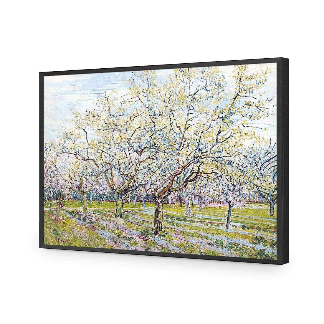 The White Orchard By Vincent Van Gogh - wallart-australia - Acrylic Glass No Border