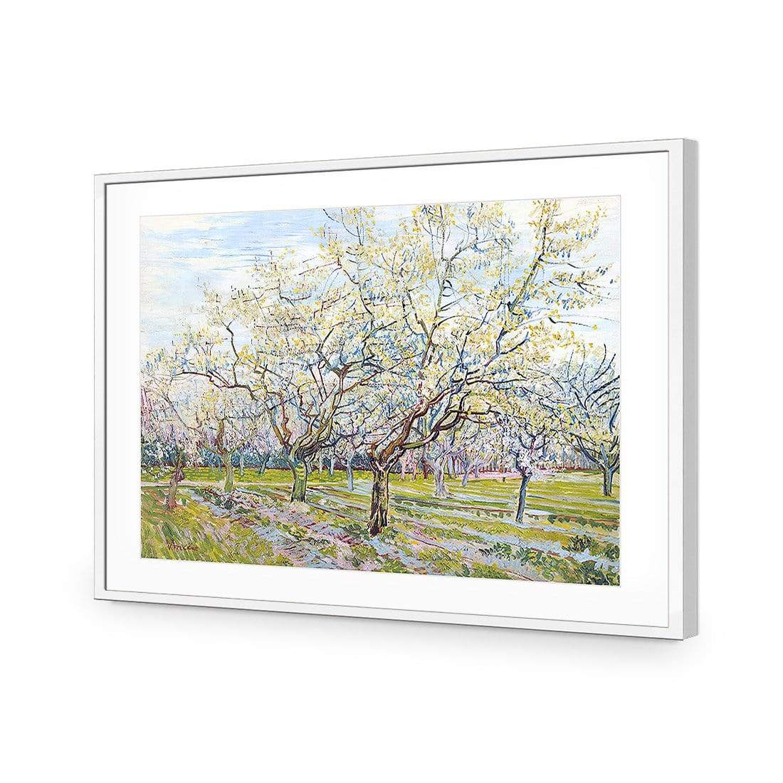 The White Orchard By Vincent Van Gogh - wallart-australia - Acrylic Glass With Border