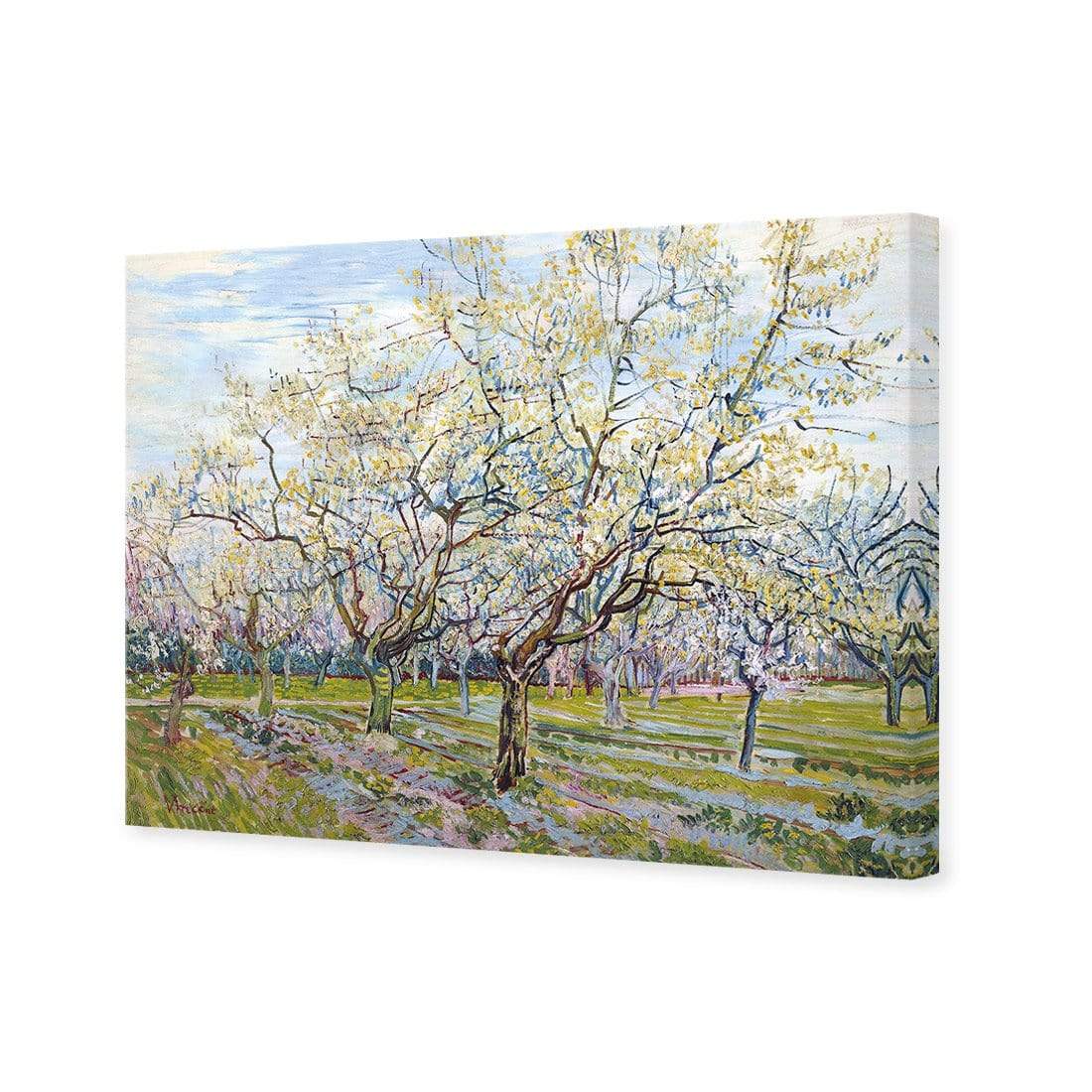 The White Orchard By Vincent Van Gogh - wallart-australia - Canvas