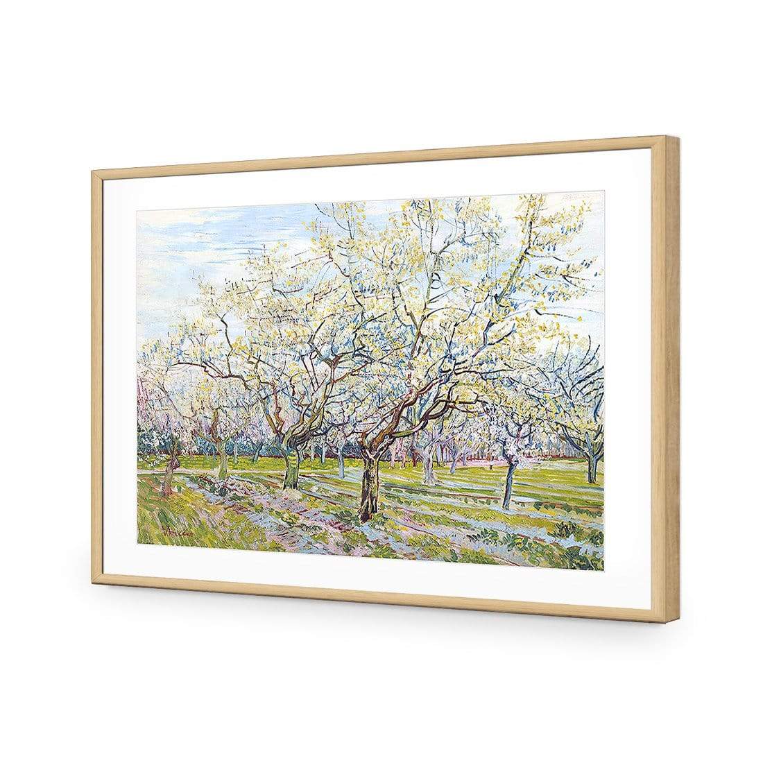 The White Orchard By Vincent Van Gogh - wallart-australia - Acrylic Glass With Border