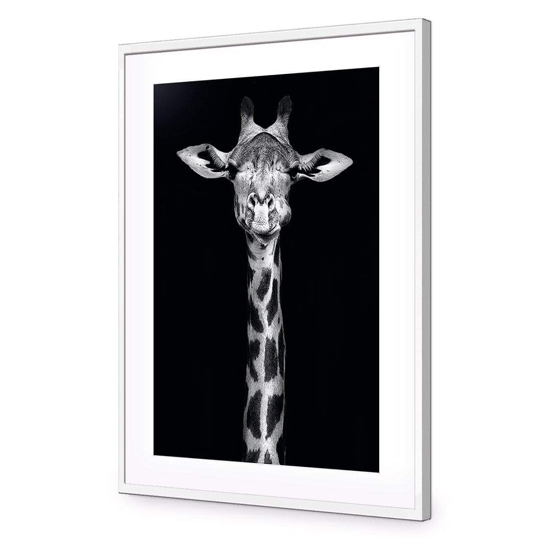 Thornycroft Giraffe - wallart-australia - Acrylic Glass With Border