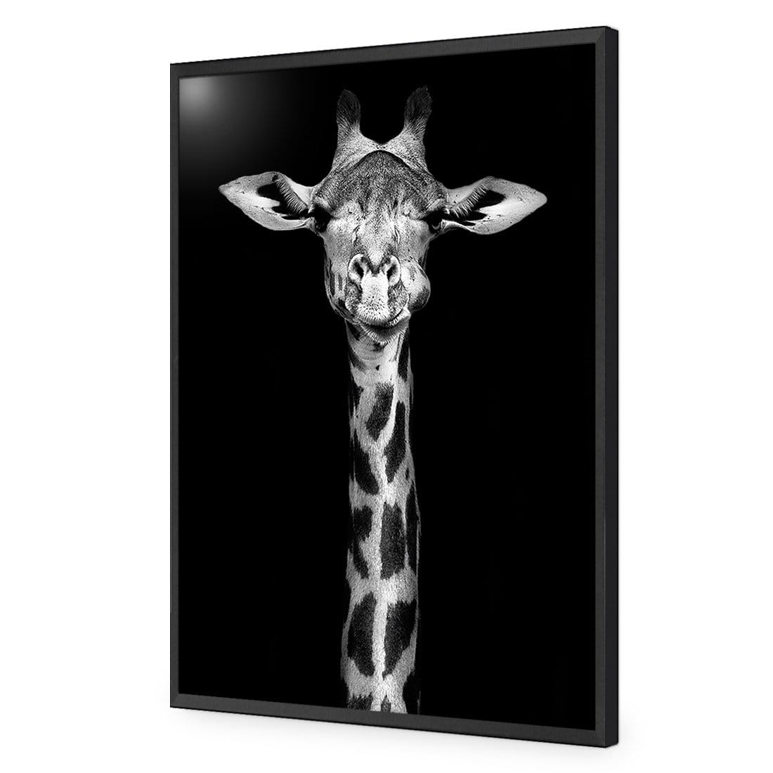 Thornycroft Giraffe - wallart-australia - Acrylic Glass No Border