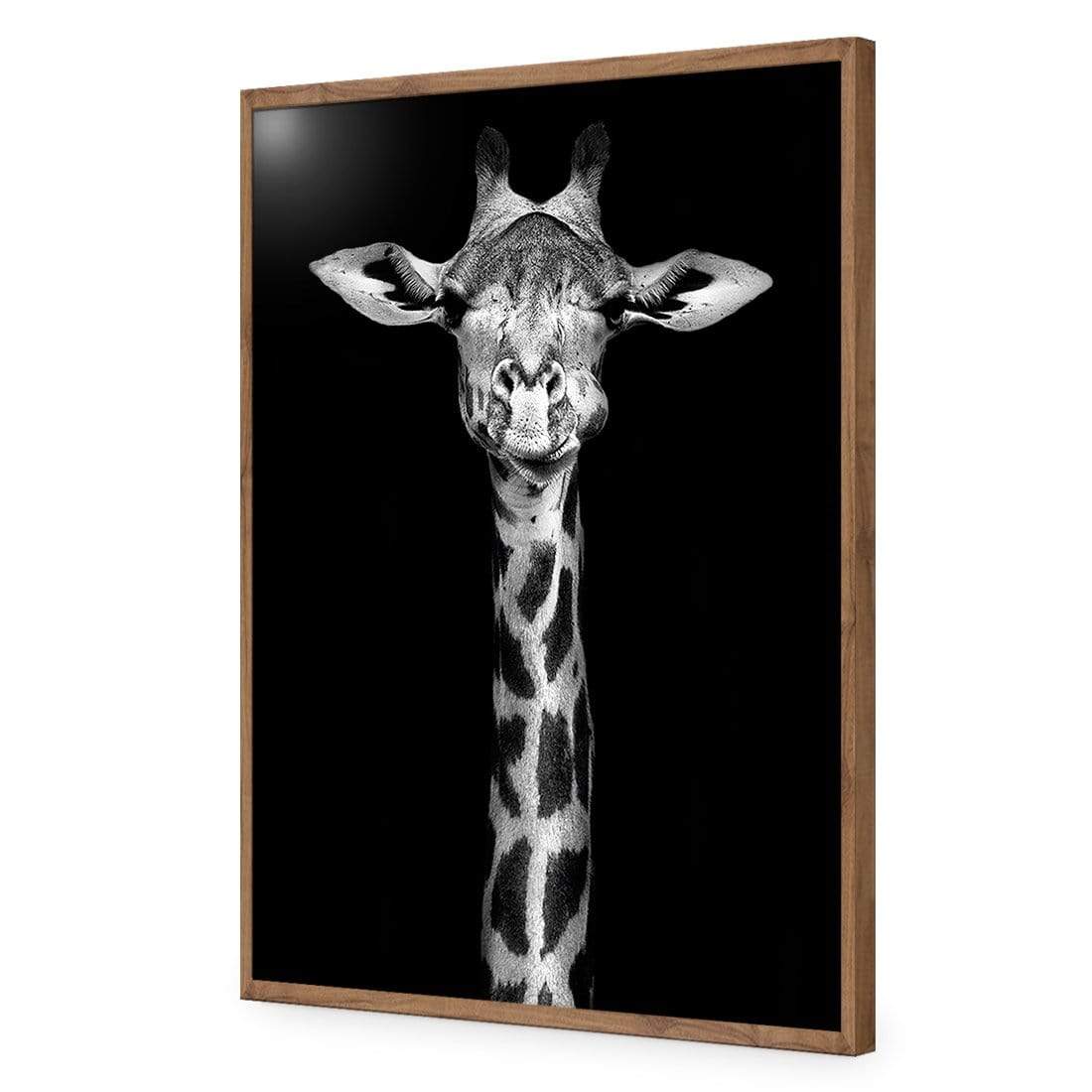 Thornycroft Giraffe - wallart-australia - Acrylic Glass No Border