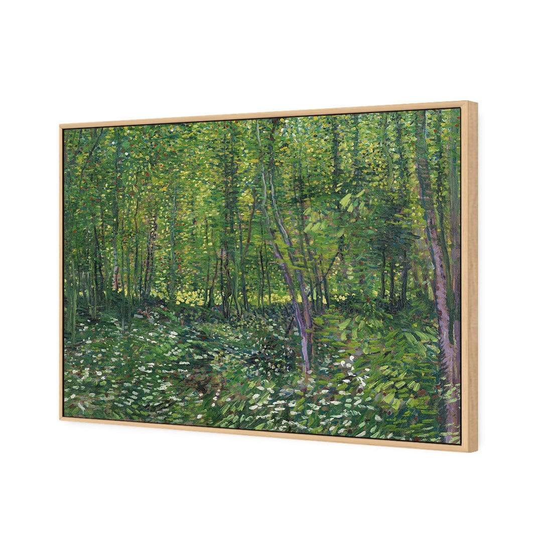 Trees And Undergrowth By Van Gogh - wallart-australia - Canvas
