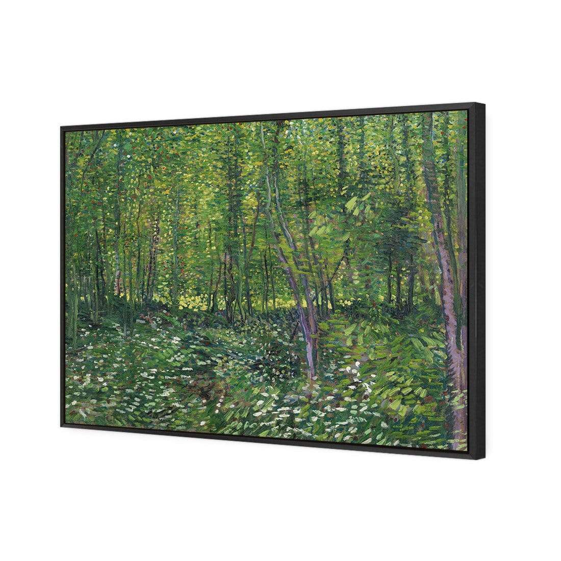 Trees And Undergrowth By Van Gogh - wallart-australia - Canvas
