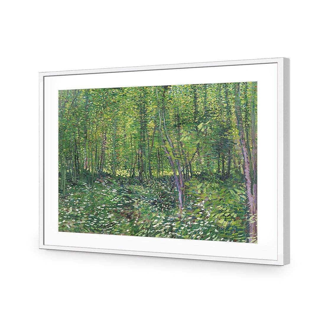 Trees And Undergrowth By Van Gogh - wallart-australia - Acrylic Glass With Border
