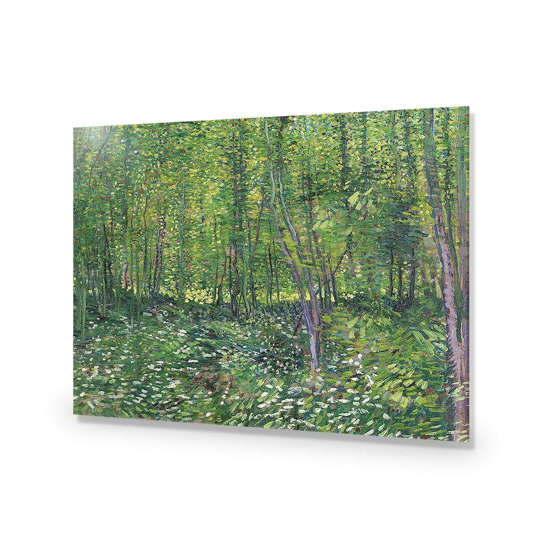 Trees And Undergrowth By Van Gogh - wallart-australia - Acrylic Glass No Border