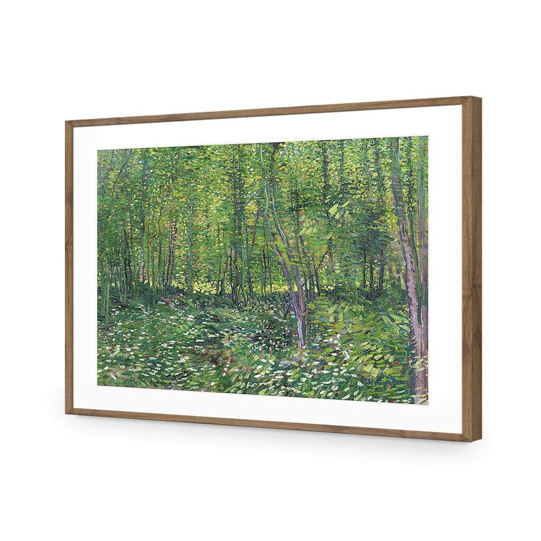 Trees And Undergrowth By Van Gogh - wallart-australia - Acrylic Glass With Border