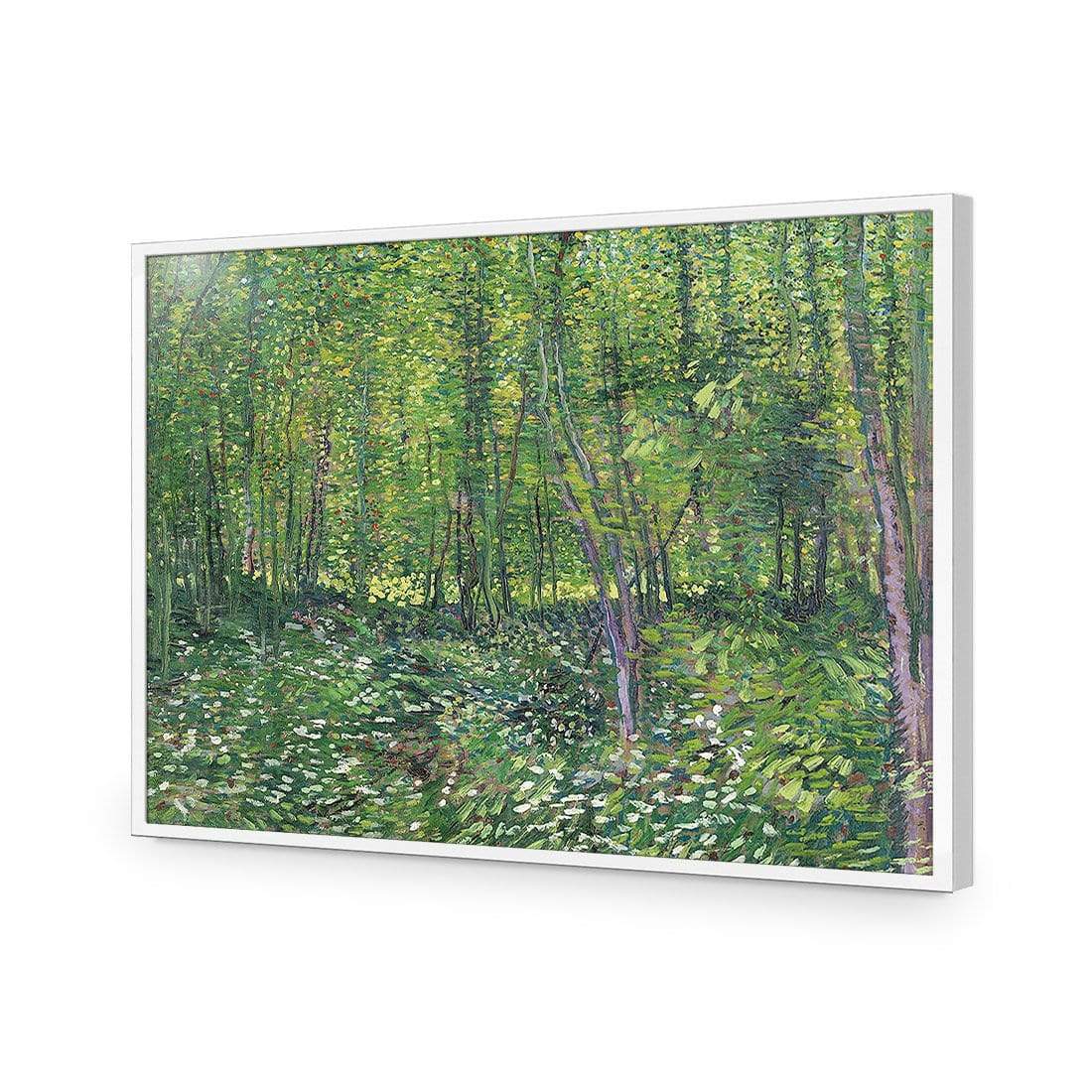 Trees And Undergrowth By Van Gogh - wallart-australia - Acrylic Glass No Border