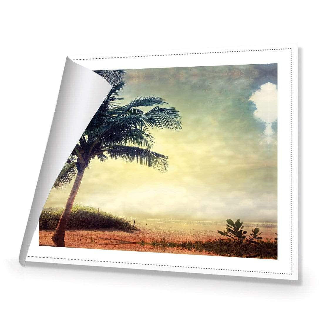 Vintage Palm Beach - wallart-australia - Canvas