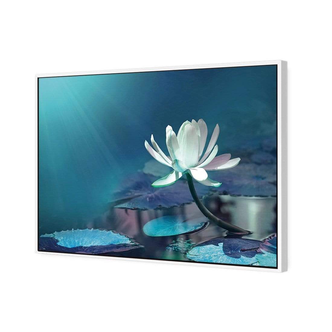 Water Lily, Blue - wallart-australia - Canvas