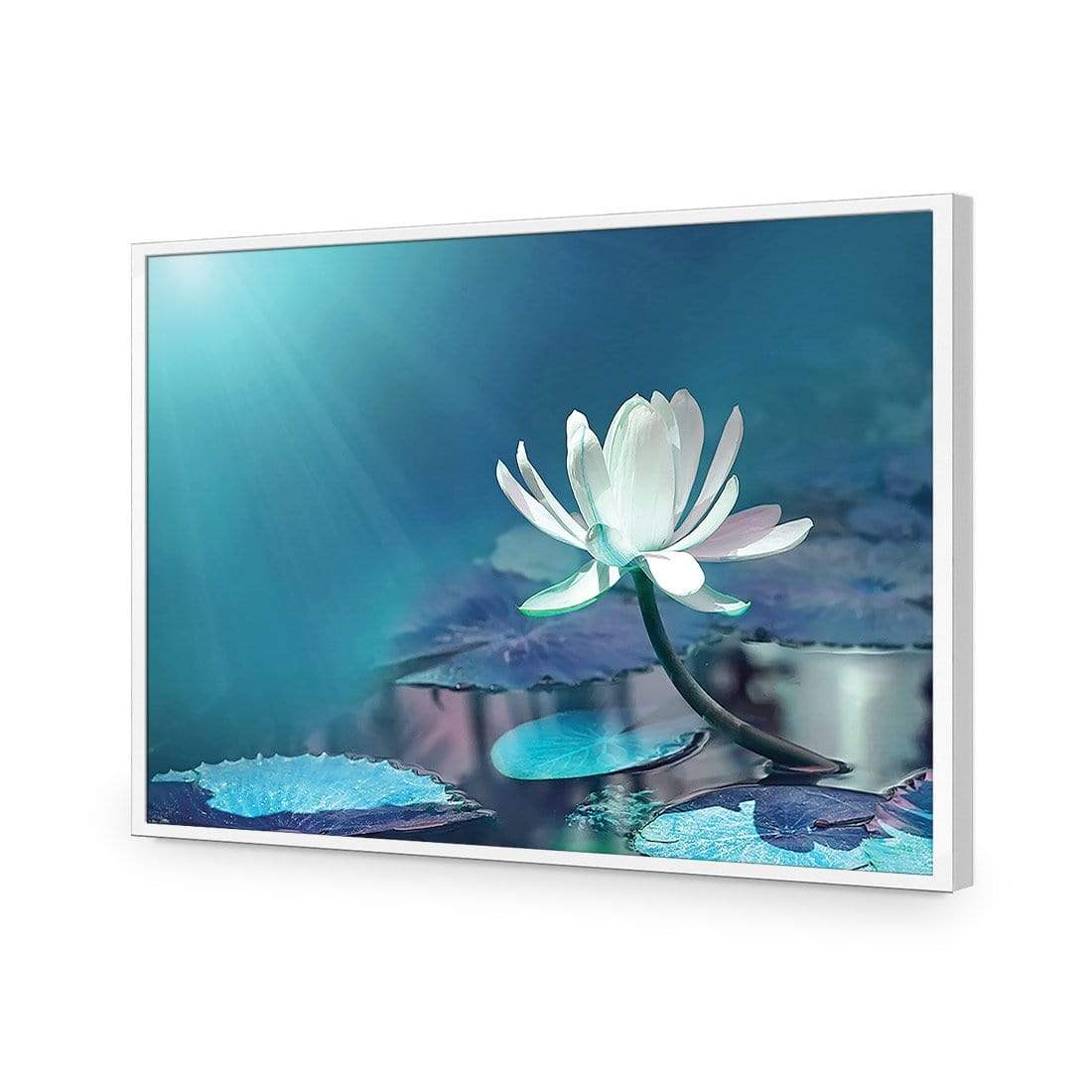 Water Lily, Blue - wallart-australia - Acrylic Glass No Border