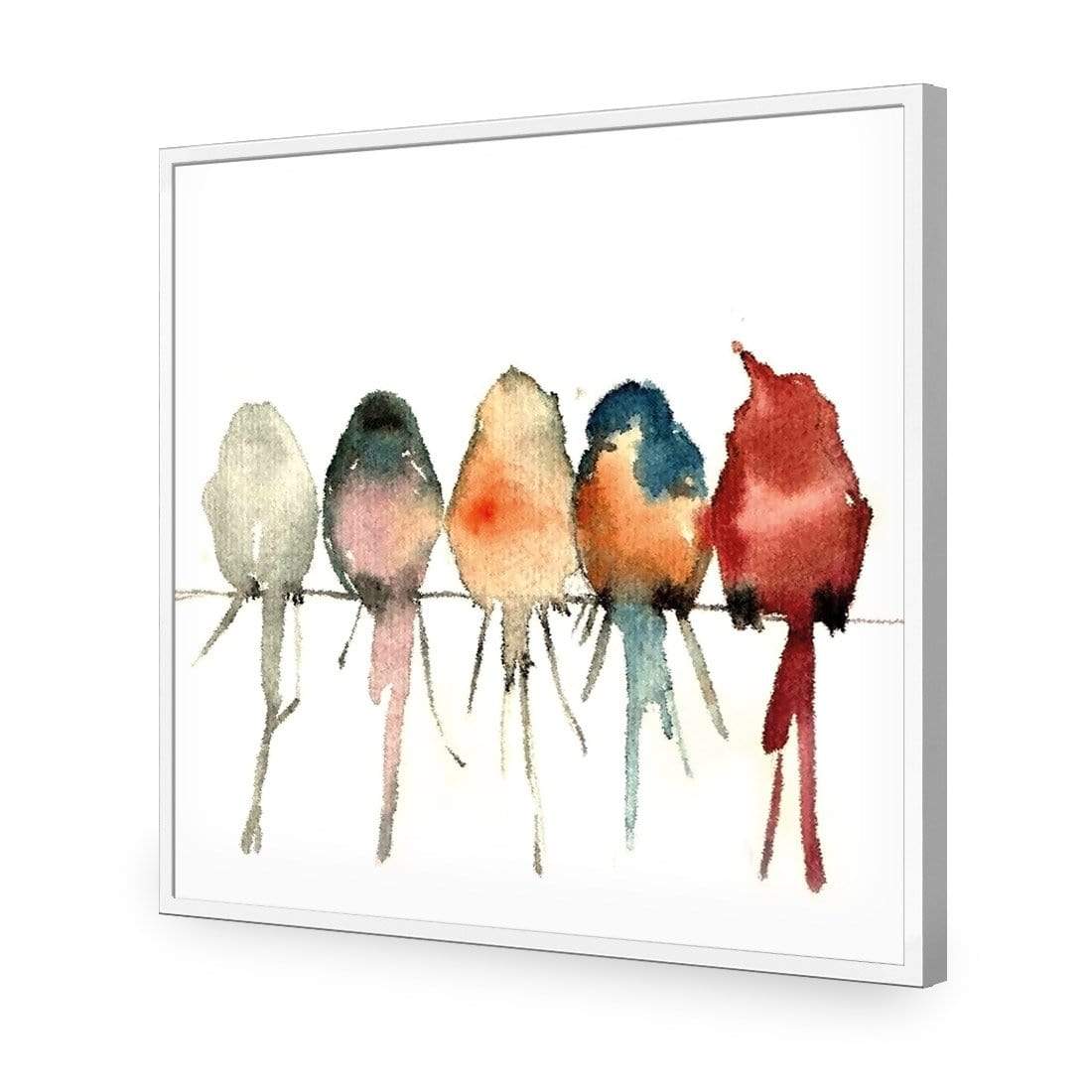 Watercolour Birds on Branch (square) - wallart-australia - Acrylic Glass No Border