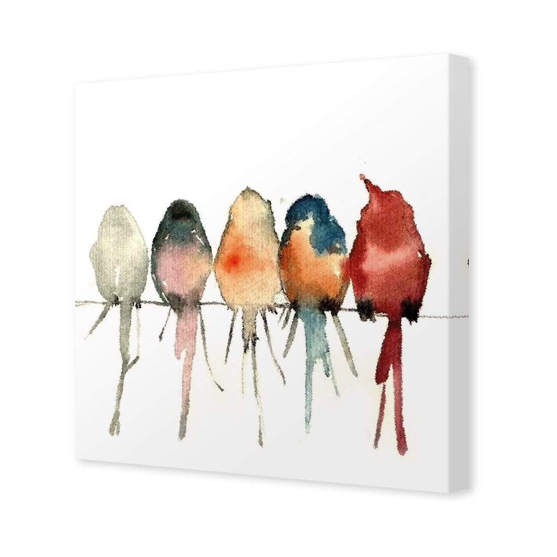 Watercolour Birds on Branch (square) - wallart-australia - Canvas
