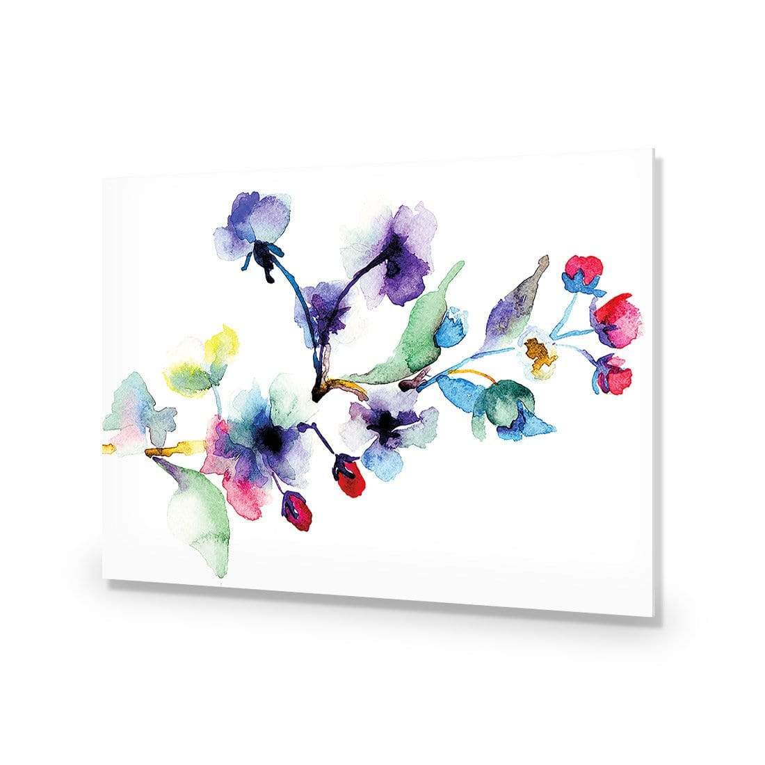 Watercolour Blossom Branch - wallart-australia - Acrylic Glass No Border