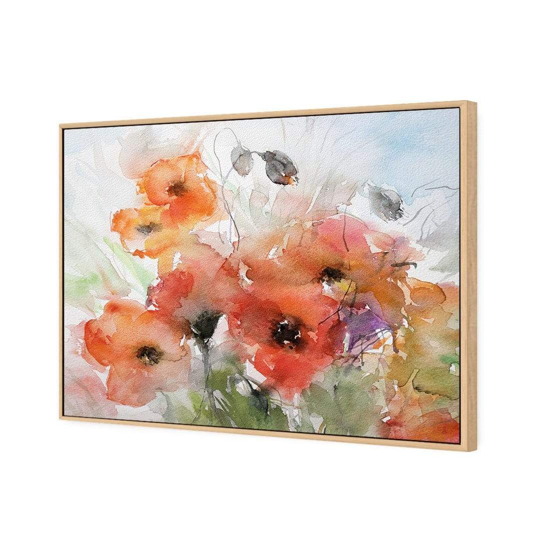 Watercolour Poppies - wallart-australia - Canvas