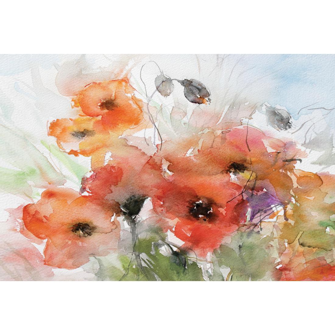 Watercolour Poppies - wallart-australia - Canvas