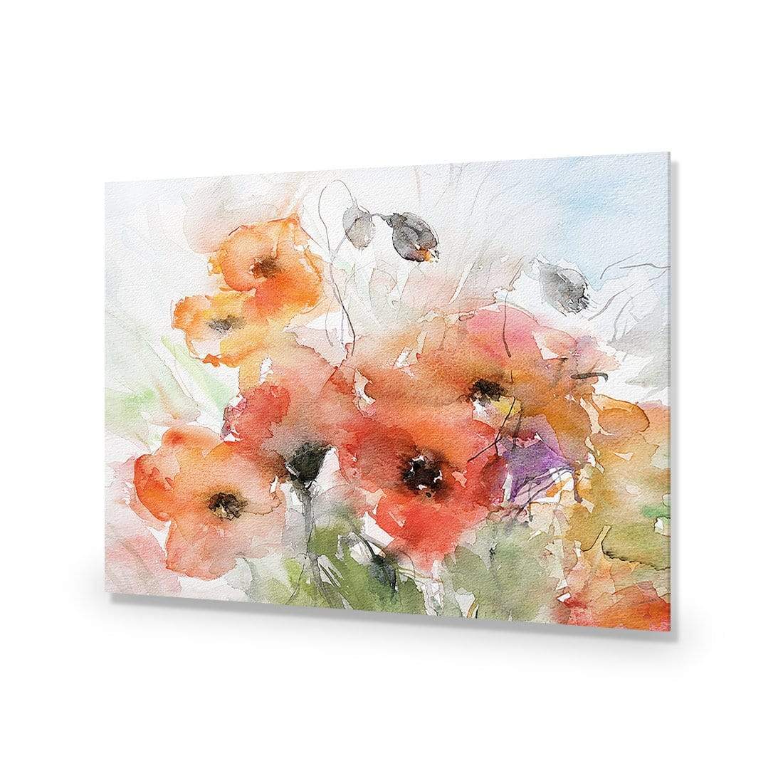 Watercolour Poppies - wallart-australia - Acrylic Glass No Border