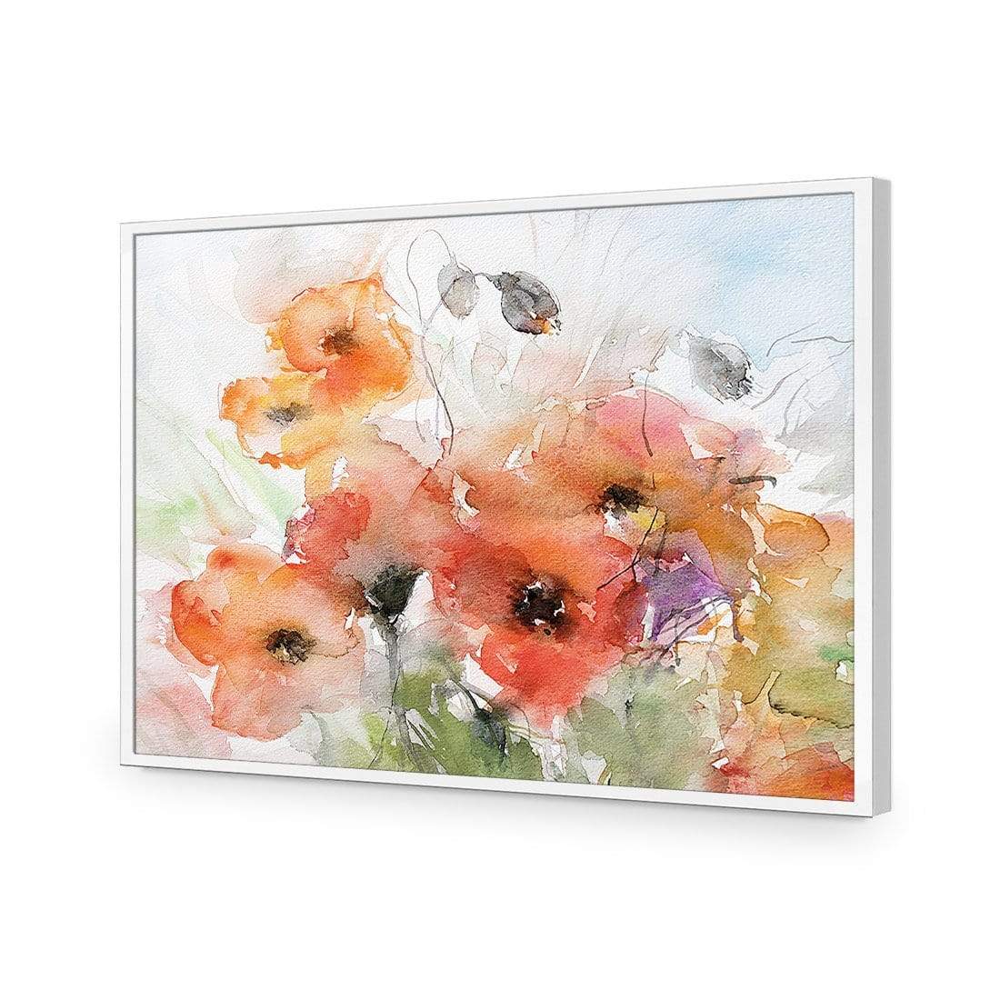 Watercolour Poppies - wallart-australia - Acrylic Glass No Border