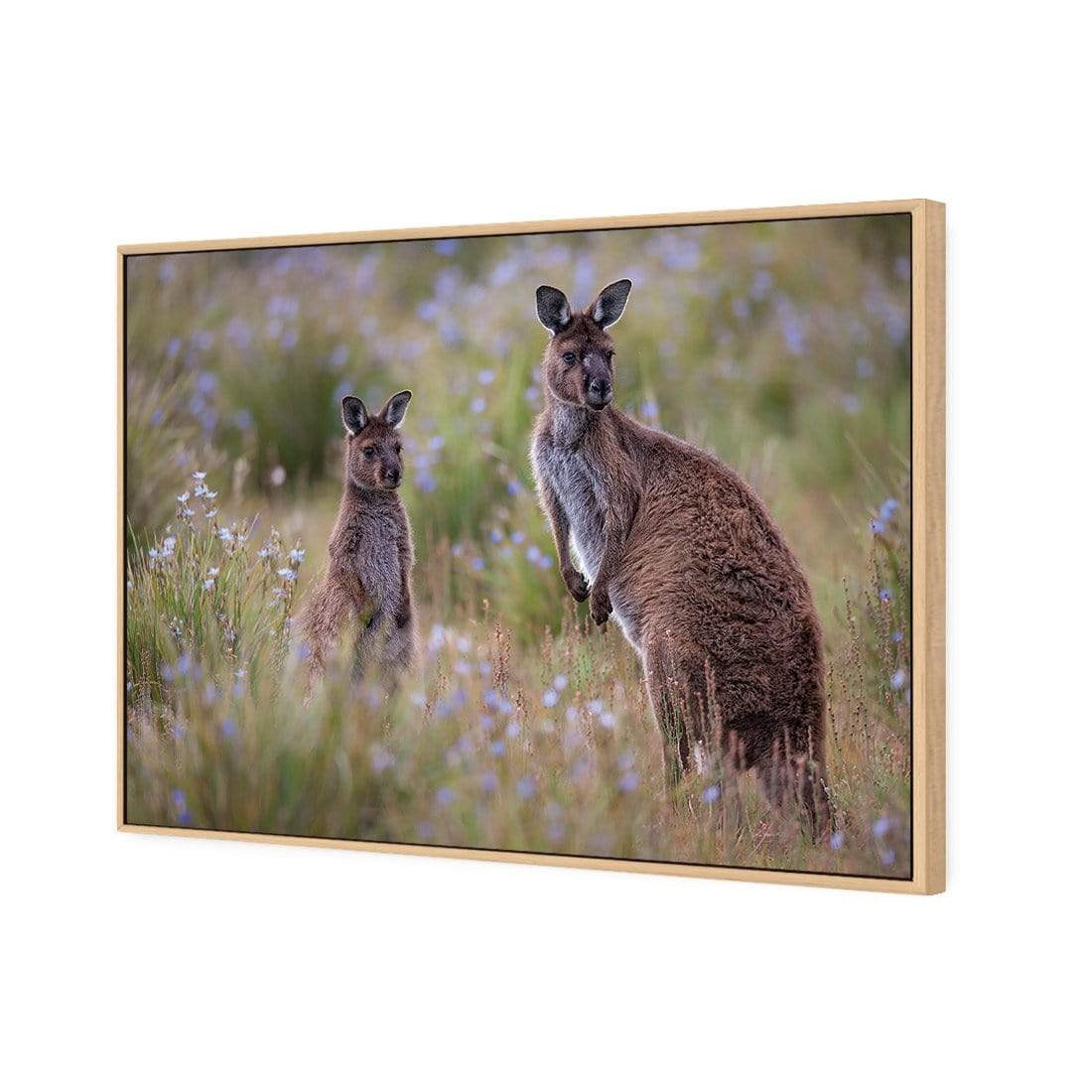 Where Are You By Peter Stahl - wallart-australia - Canvas