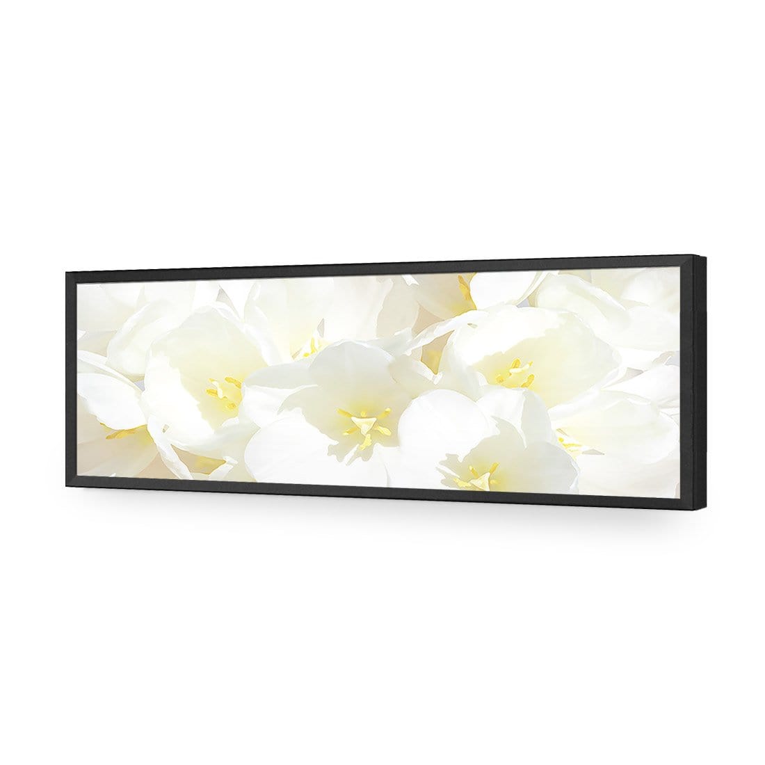 White Tulips (Long) - wallart-australia - Acrylic Glass No Border