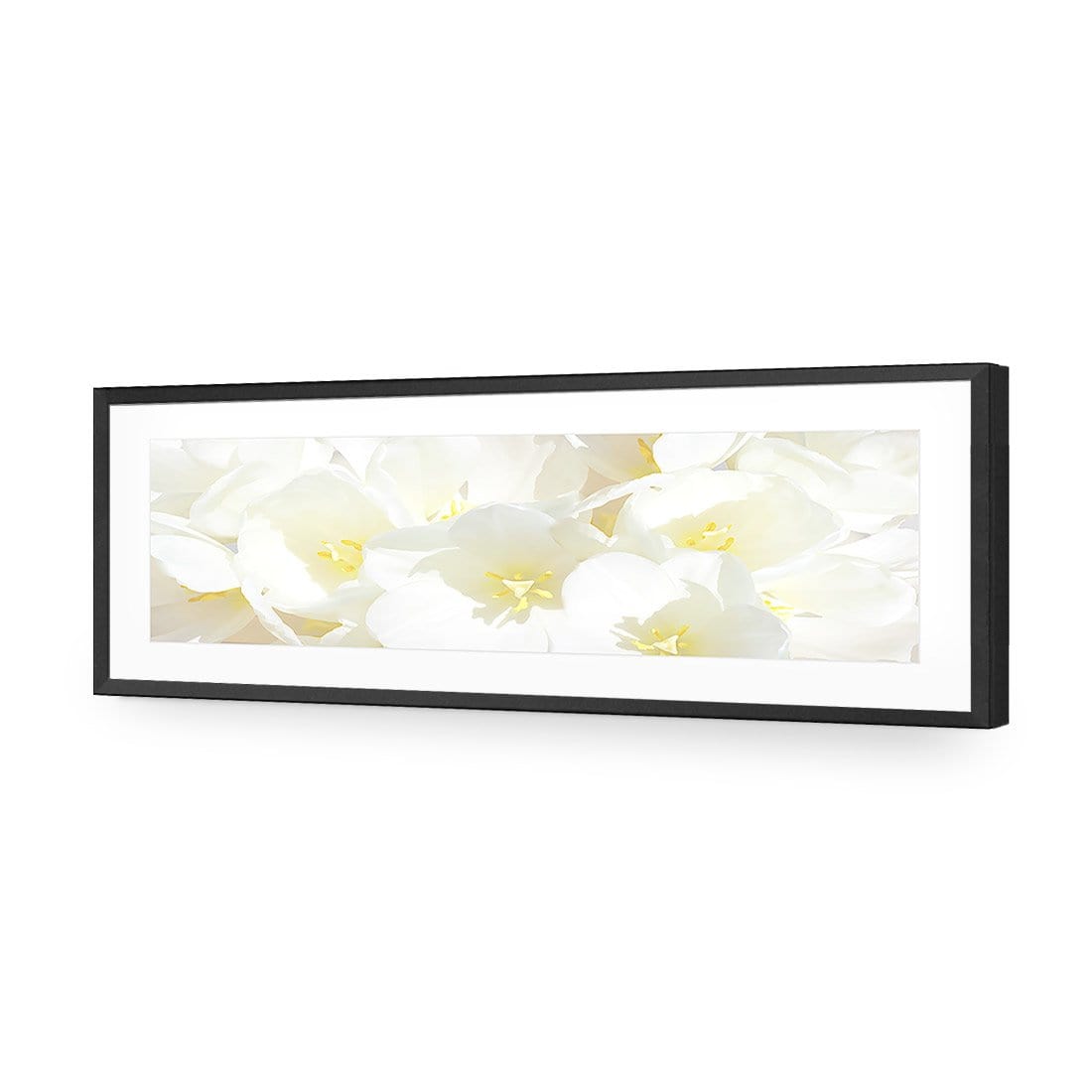White Tulips (Long) - wallart-australia - Acrylic Glass With Border