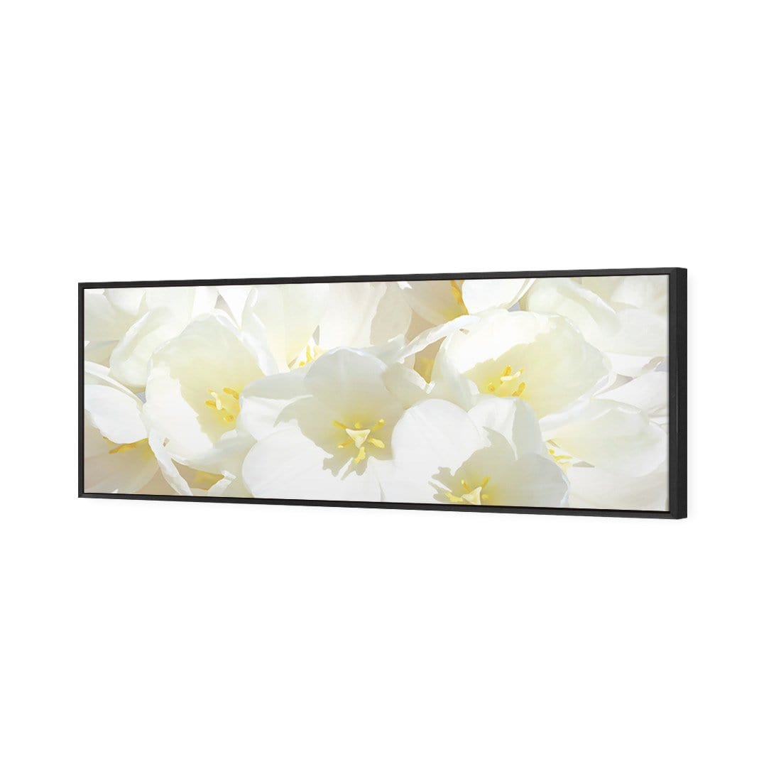 White Tulips (Long) - wallart-australia - Canvas