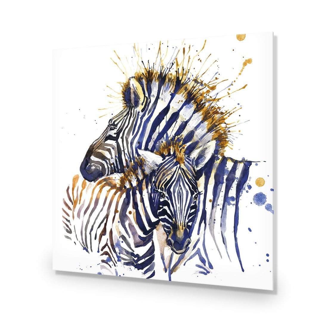 Zebra Watercolour (square) - wallart-australia - Acrylic Glass No Border